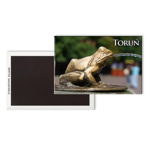 Magnes Toruń Fontanna z żabami