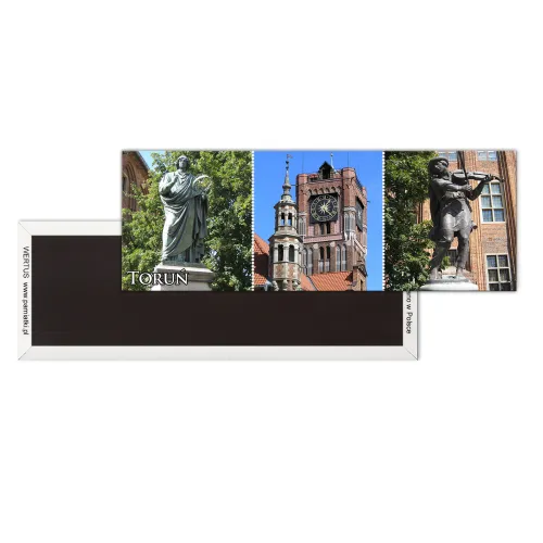 Magnes Toruń panorama...