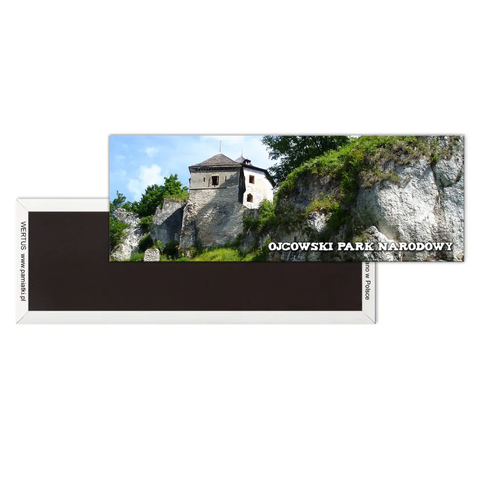 Magnes Panorama Ojców Zamek na Wzgórzu