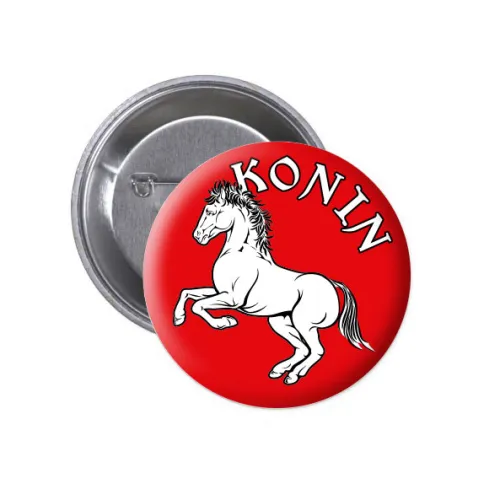 Przypinka na Agrafce Konin...