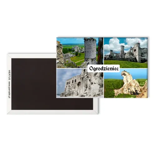 Magnes Ogrodzieniec...