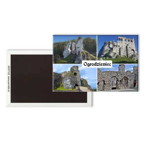 Magnes Ogrodzieniec...