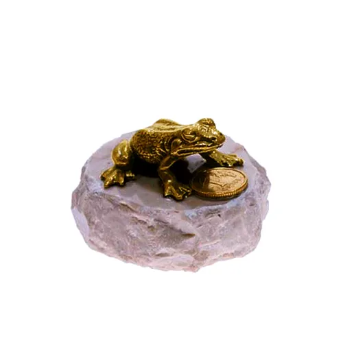 Żaba Metalowa z Groszem na...