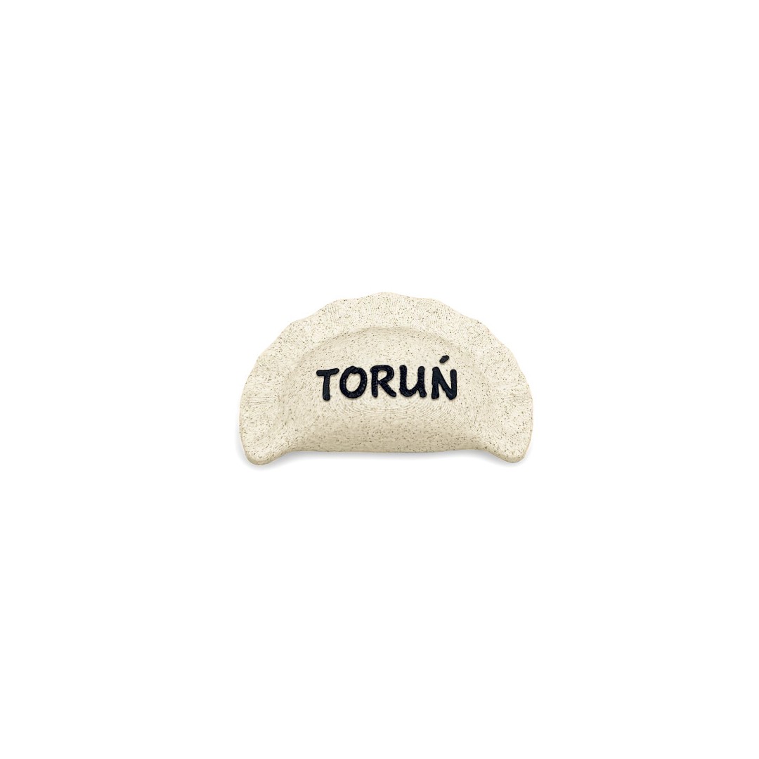 Magnes Toruń Pieróg 3D