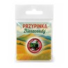 Przypinka pin Bieszczadzka Kolejka Leśna