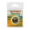 Przypinka pin Bieszczady Niedźwiedź