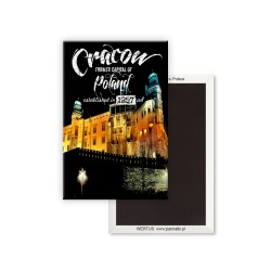 Magnes Kraków Wawel Noc