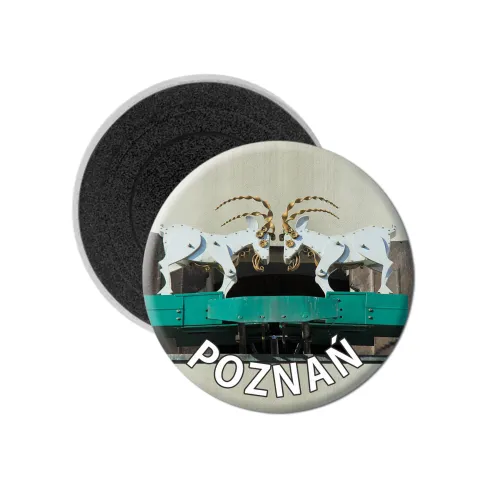 Magnes Okrągły Poznań Koziołki