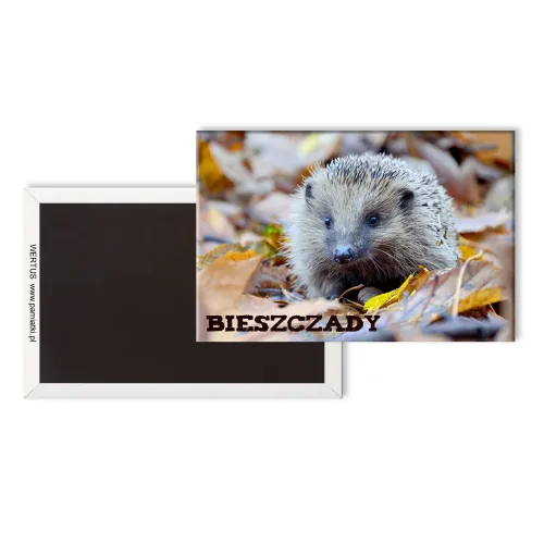 Magnes Bieszczady Jeżyk