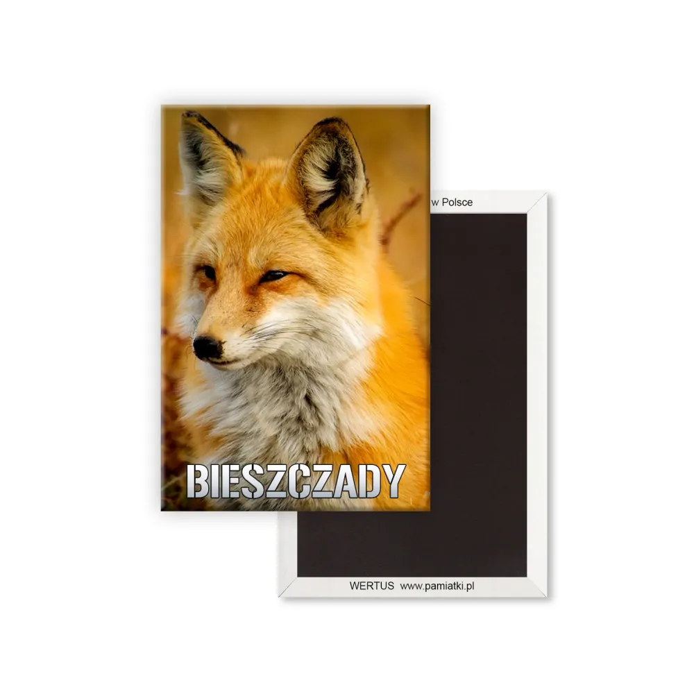 Magnes Bieszczady Lis