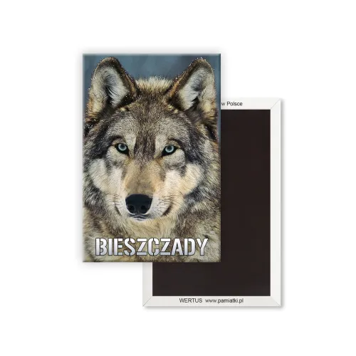 Magnes Bieszczady Wilk