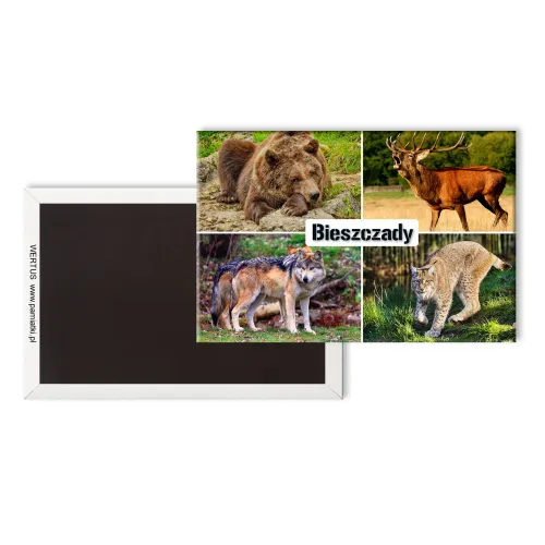 Magnes Bieszczady Składanka...