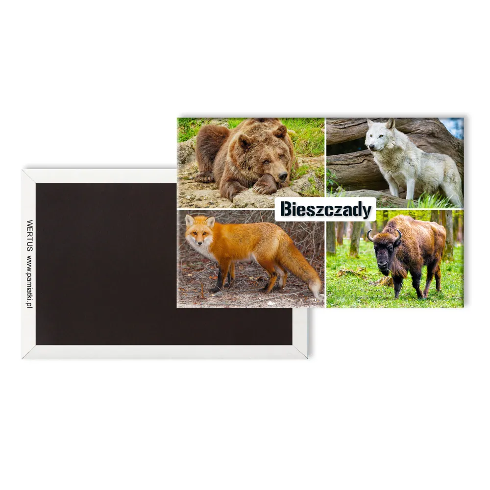 Magnes Bieszczady Składanka Zwierzęta #2