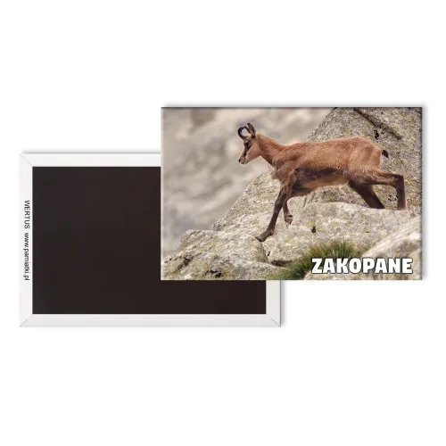 Magnes Zakopane Kozica