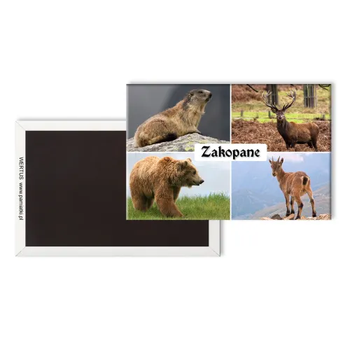 Magnes Zakopane Składanka...