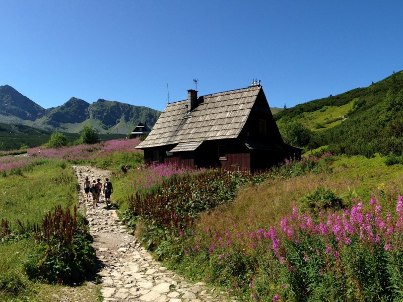 Motywy górskie w pamiątkach - co jest popularne?